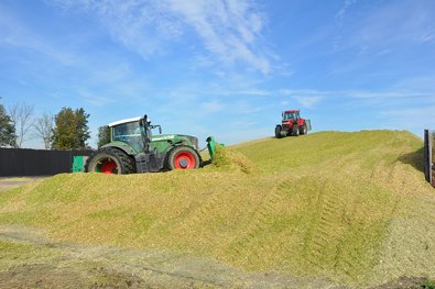 Landeskontrollverband Berlin-Brandenburg eV